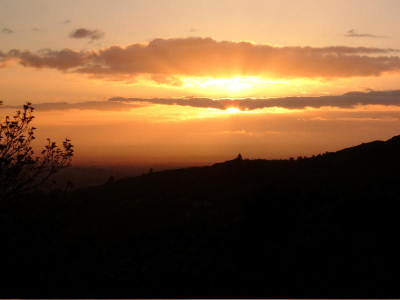 Picture Home Page
