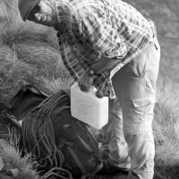 More Tea Stocks (Dave Dillon)
