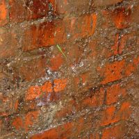 Seepage (Roger Dyke)